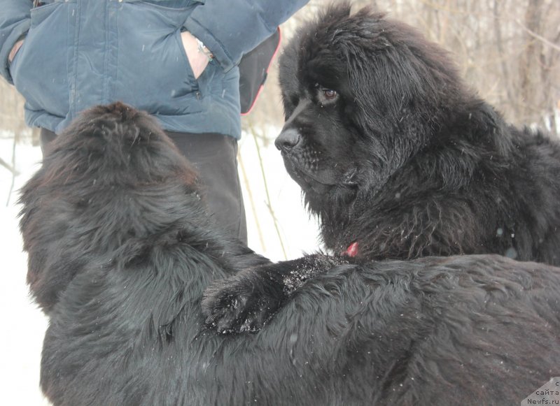 Фотография № 121053