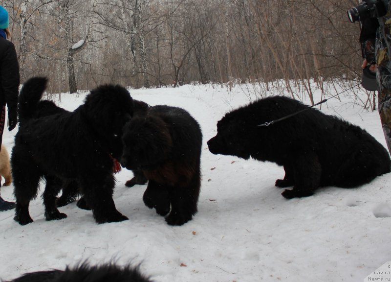 Фотография № 121054