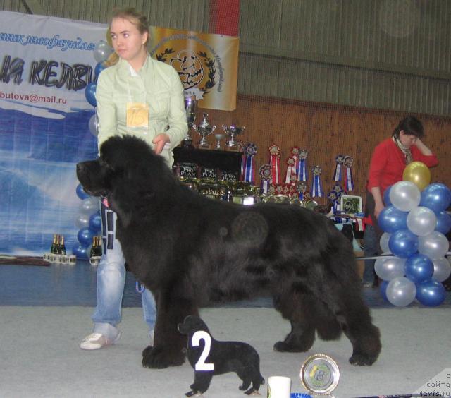 Фотография № 12106