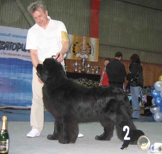 Фотография № 12107