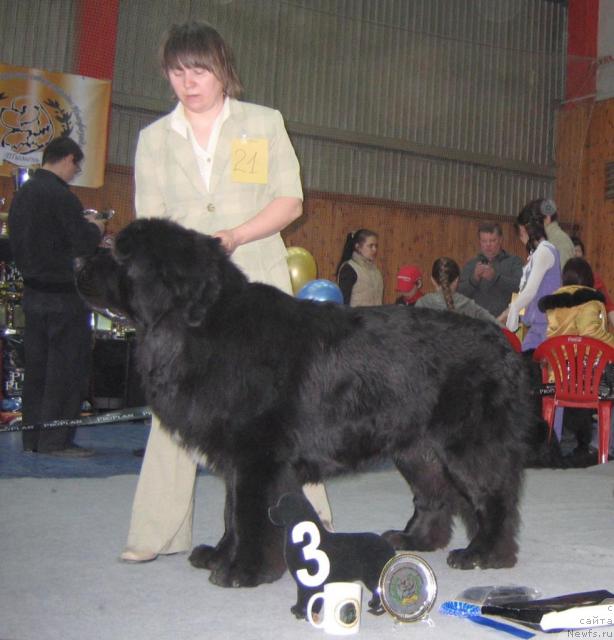 Фотография № 12108