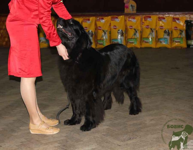 Фотография № 121101