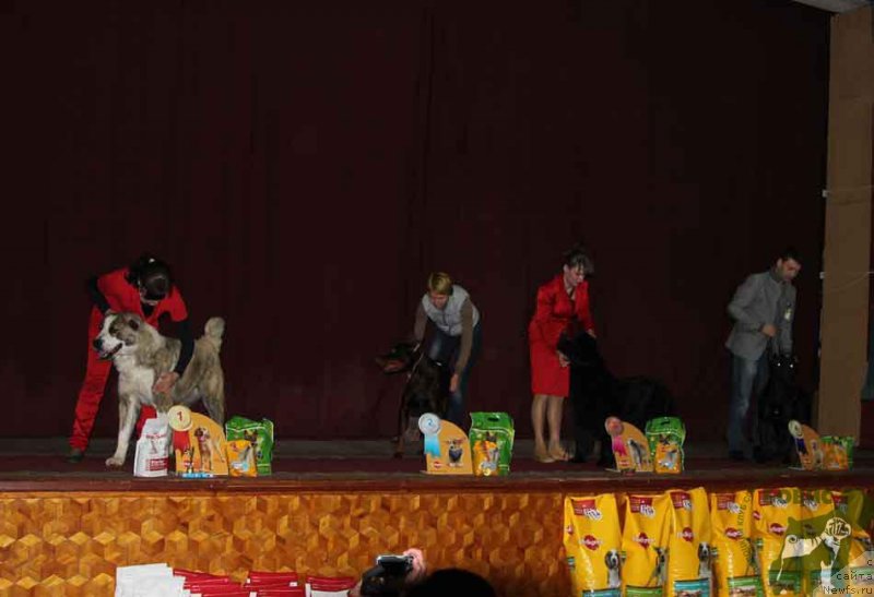 Фотография № 121102