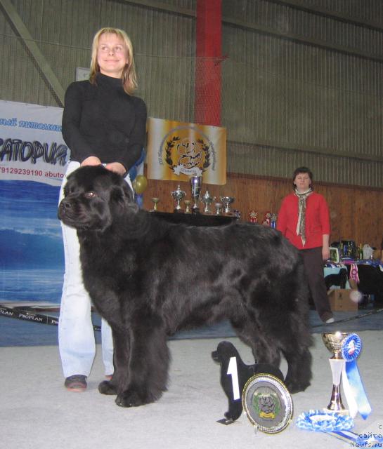 Фотография № 12113