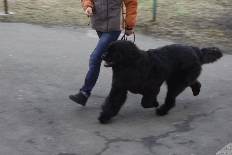 Фотография № 121162