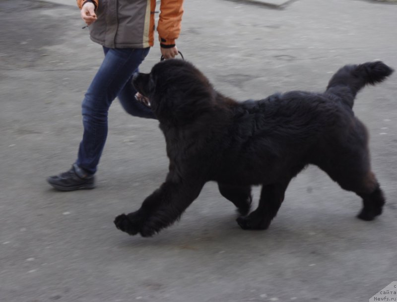 Фотография № 121163