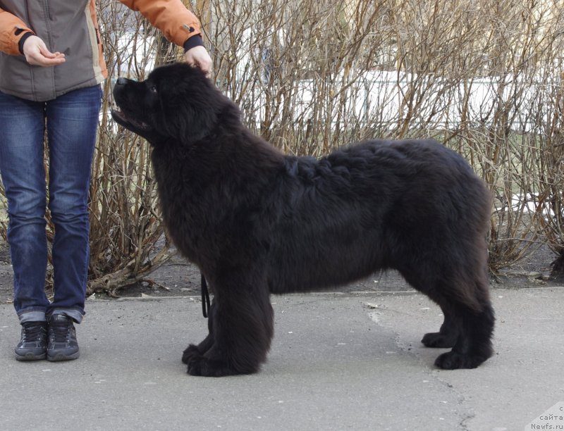 Фотография № 121164