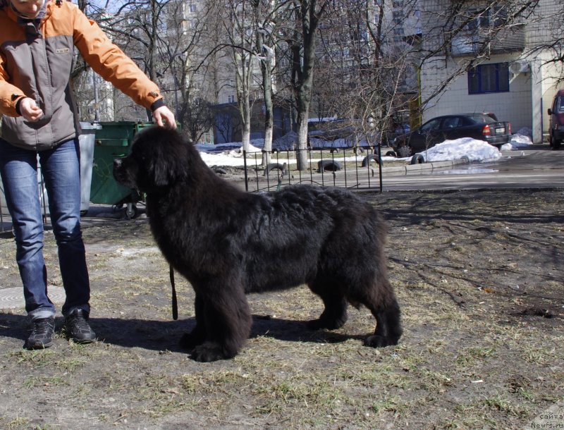 Фотография № 121166