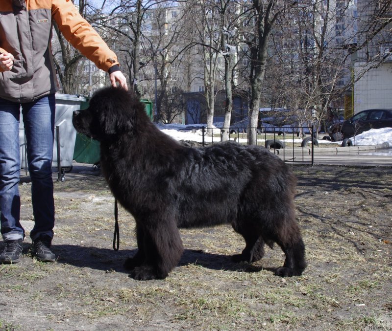 Фотография № 121167