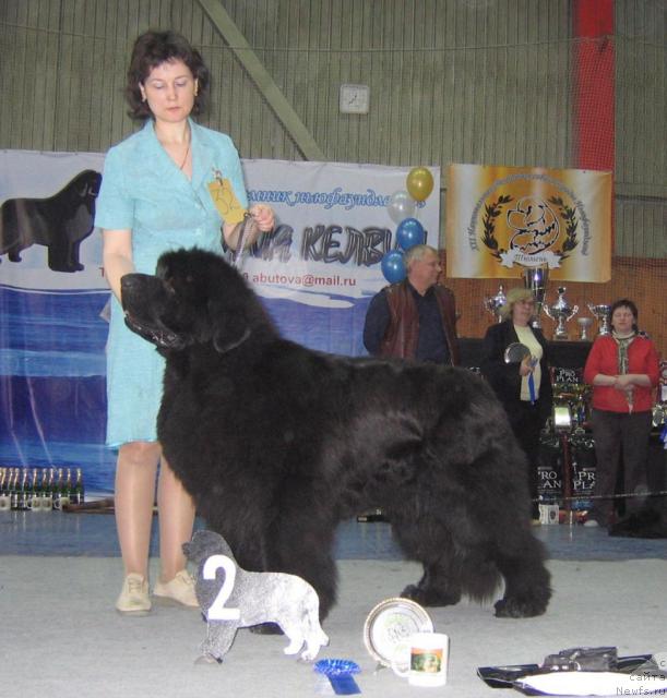 Фотография № 12117