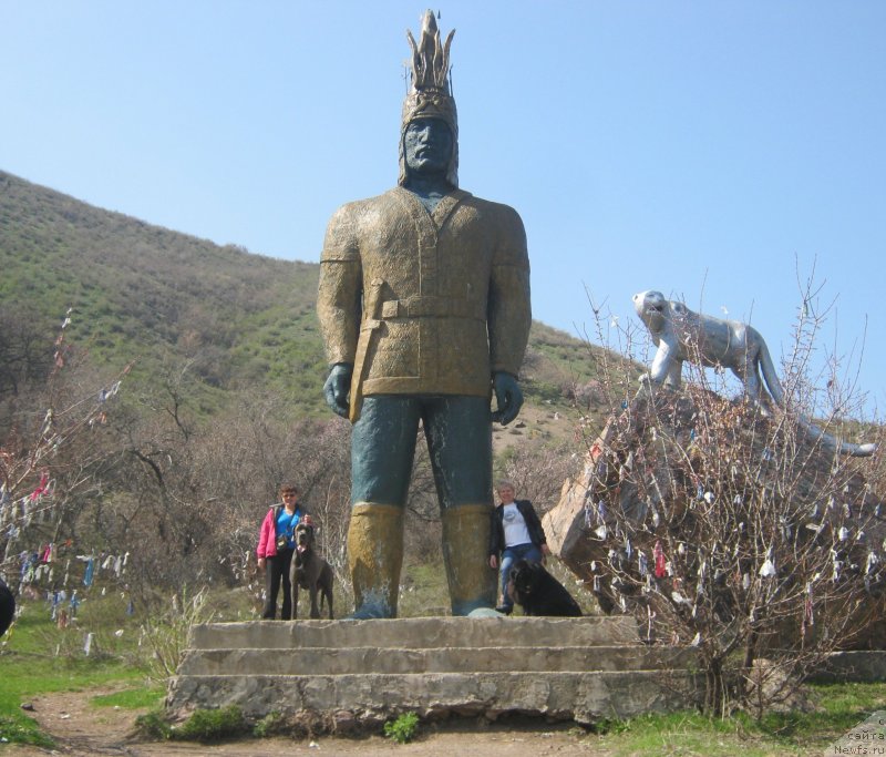 Фотография № 121175