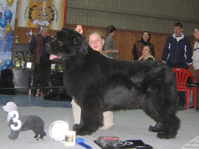 Фотография № 12118