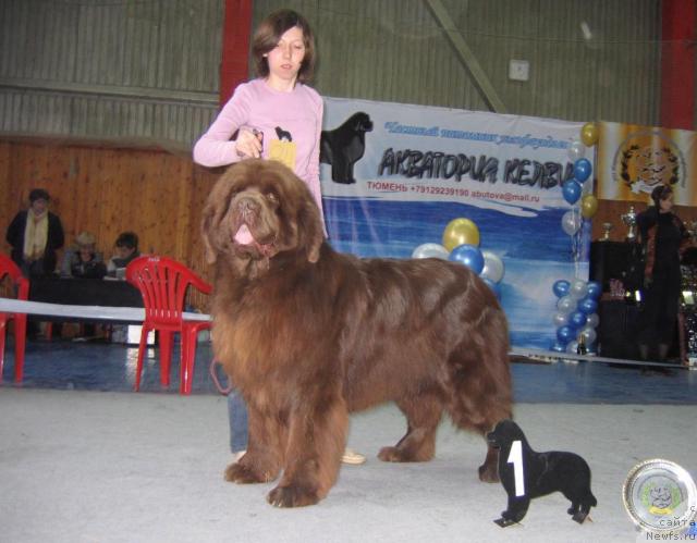 Фотография № 12120