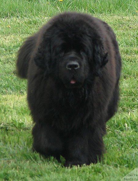 Фотография № 121213