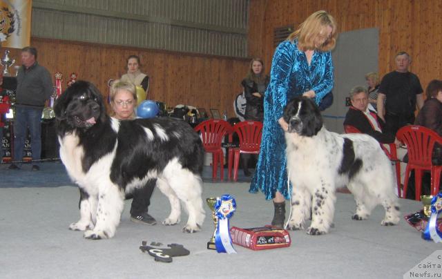 Фотография № 12122