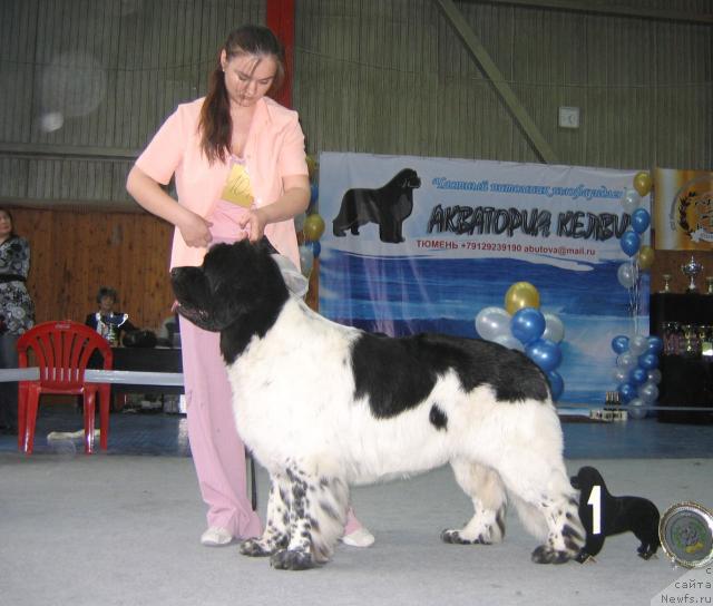 Фотография № 12124