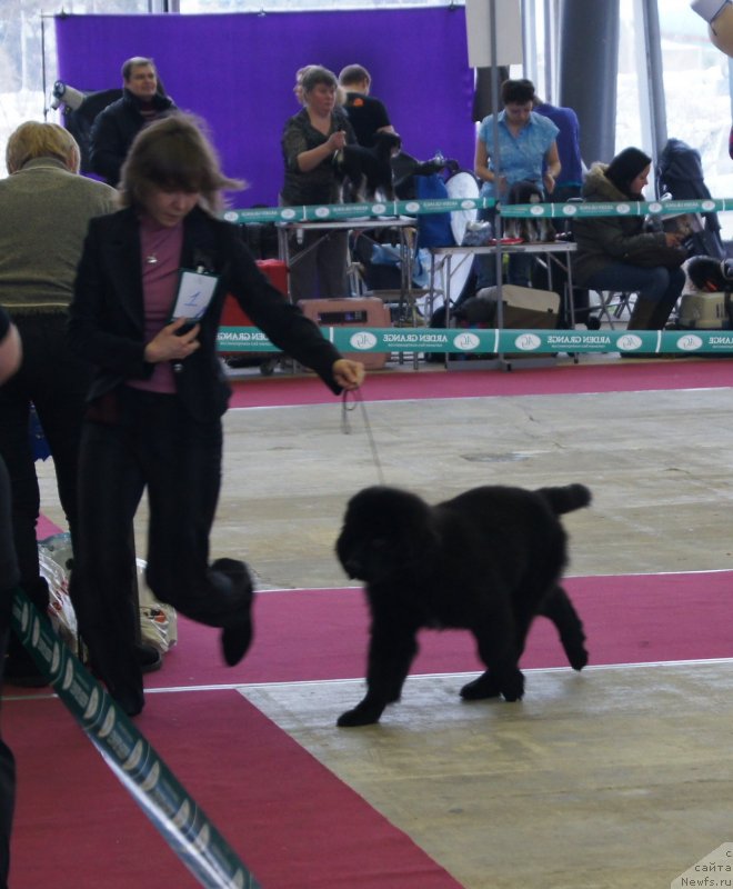 Фотография № 121298