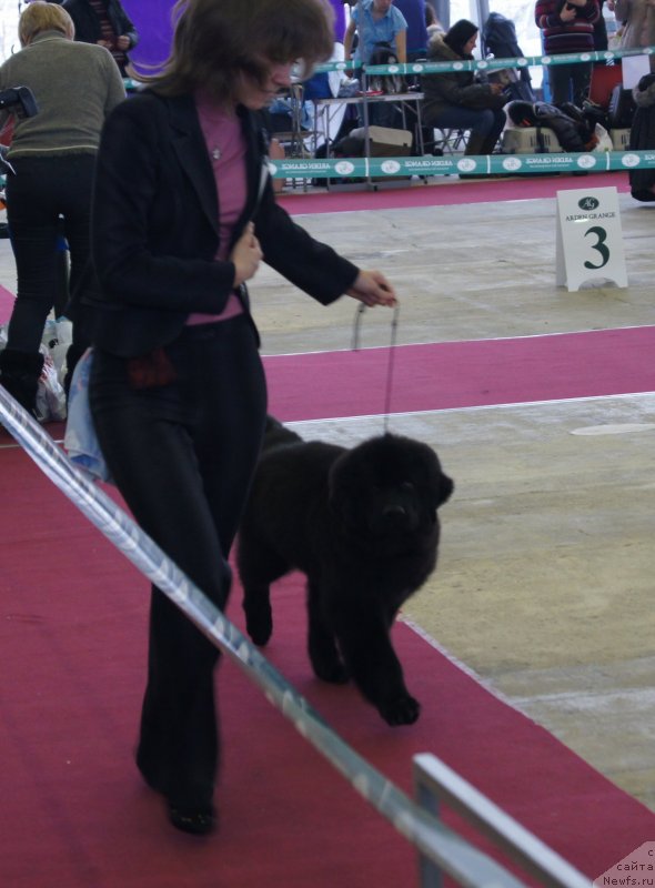 Фотография № 121299