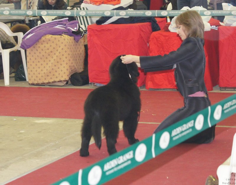 Фотография № 121301