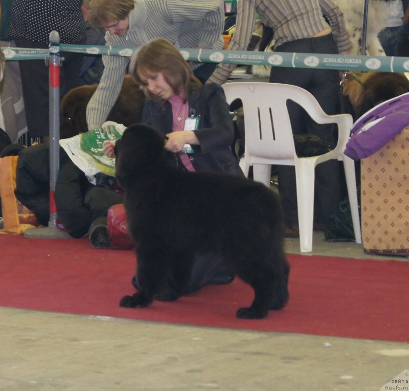 Фотография № 121302