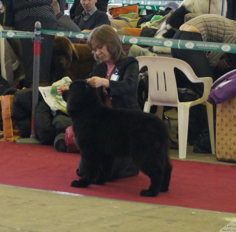 Фотография № 121303