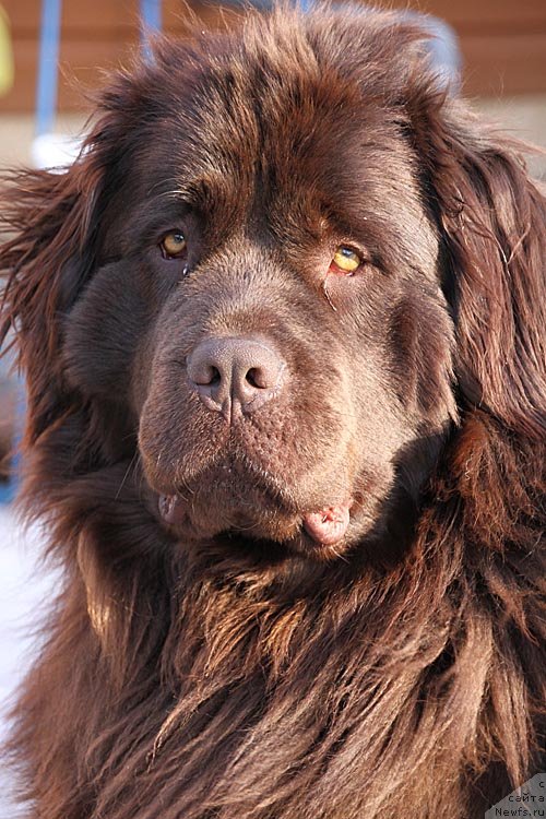 Фотография № 121308