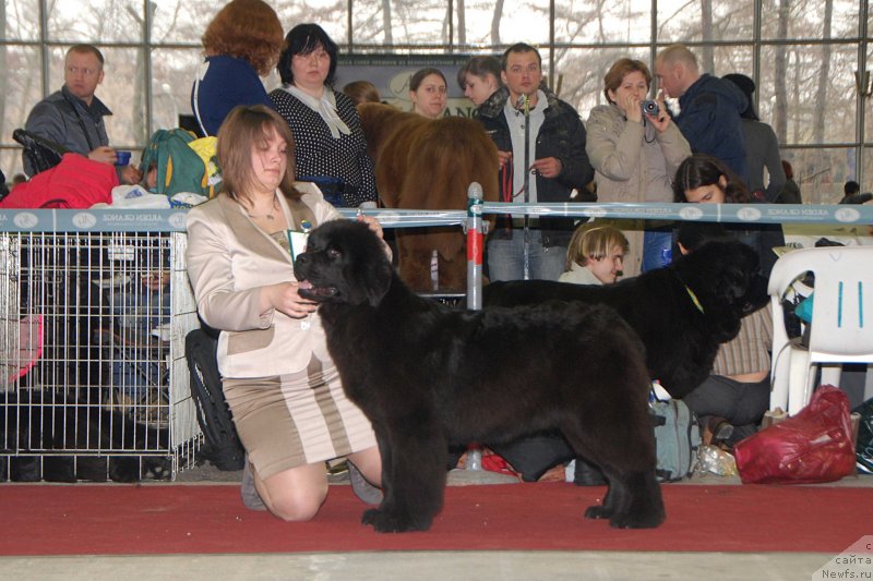 Фотография № 121314