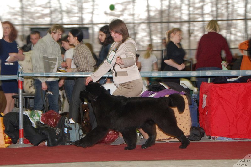 Фотография № 121315