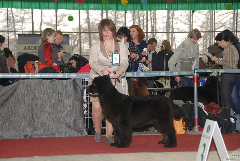 Фотография № 121316