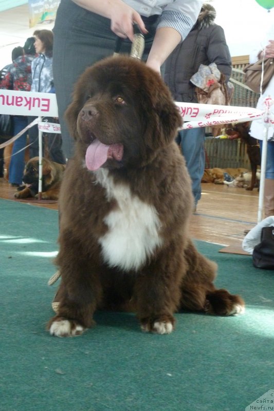 Фотография № 121324