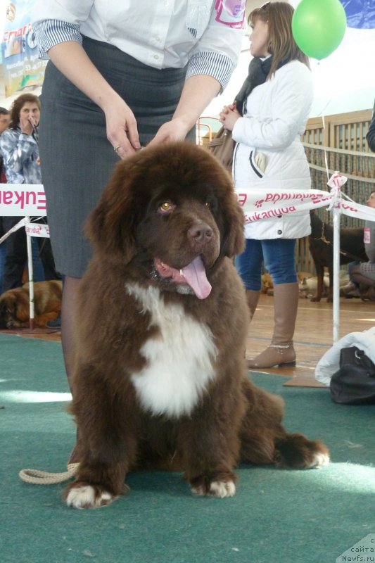 Фотография № 121325