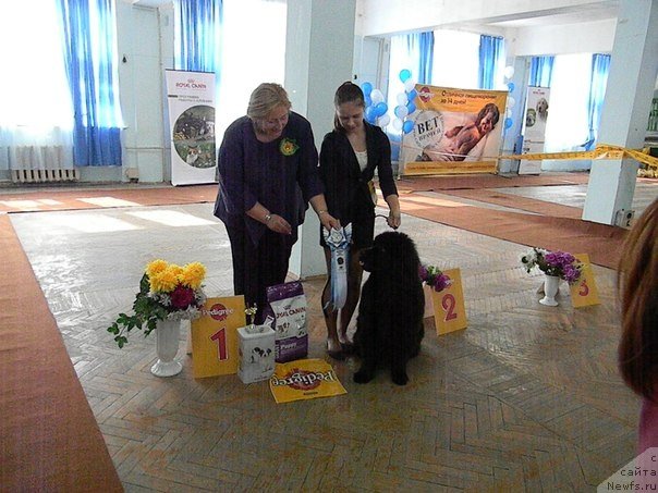 Фотография № 121340