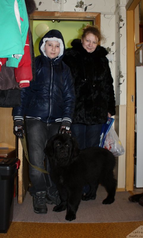 Фото: ньюфаундленд Soul of Rouz Alister (Соул оф Роуз Алистер), Сережа и Лена