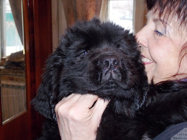 Фотография № 121378