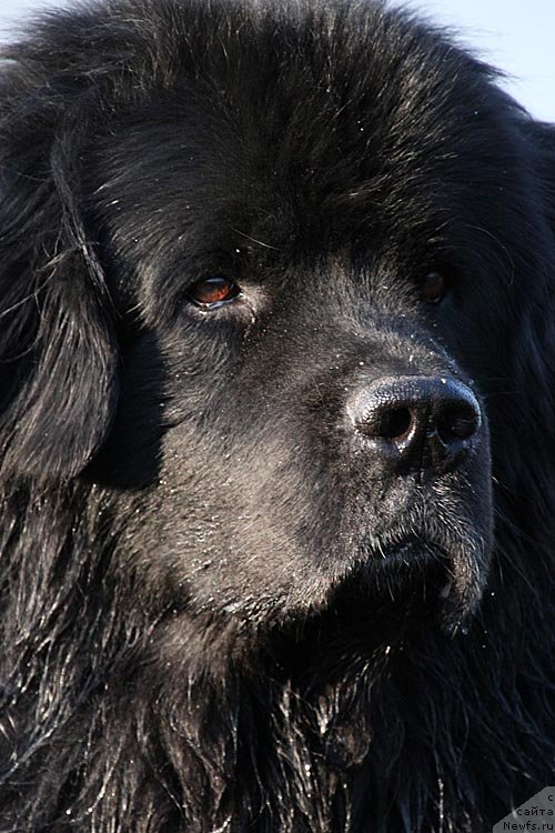 Фотография № 121383