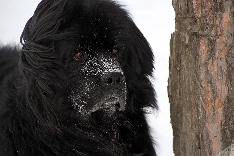 Фотография № 121384