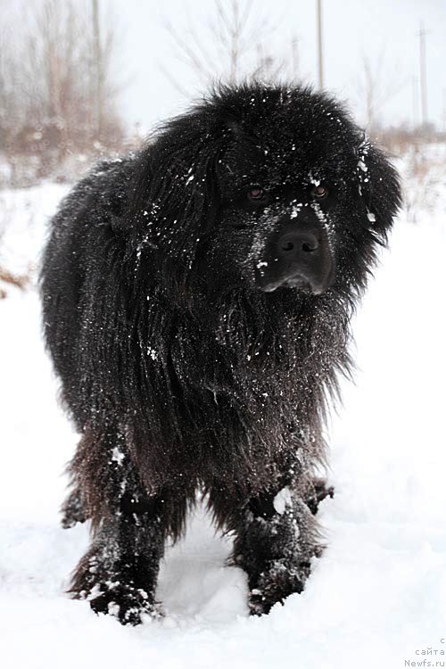 Фотография № 121385