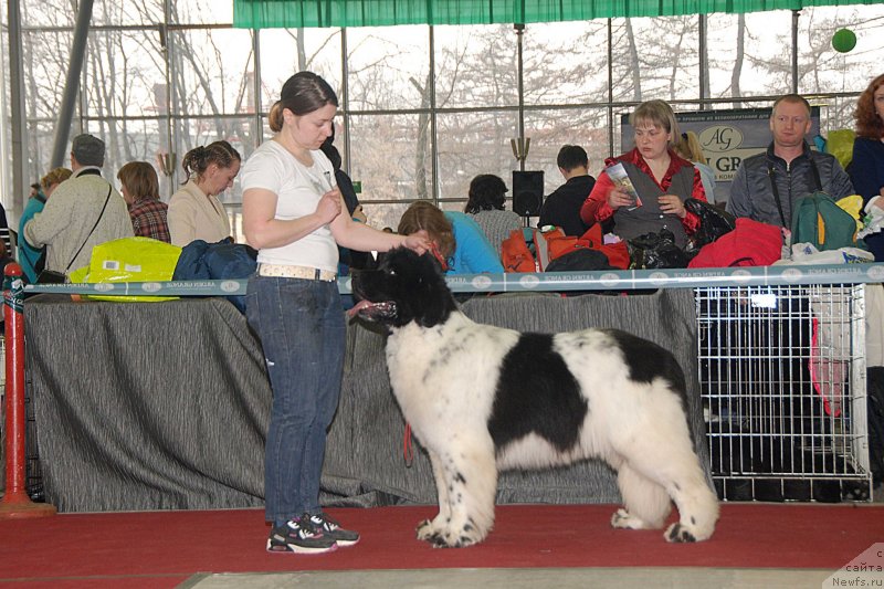 Фотография № 121396