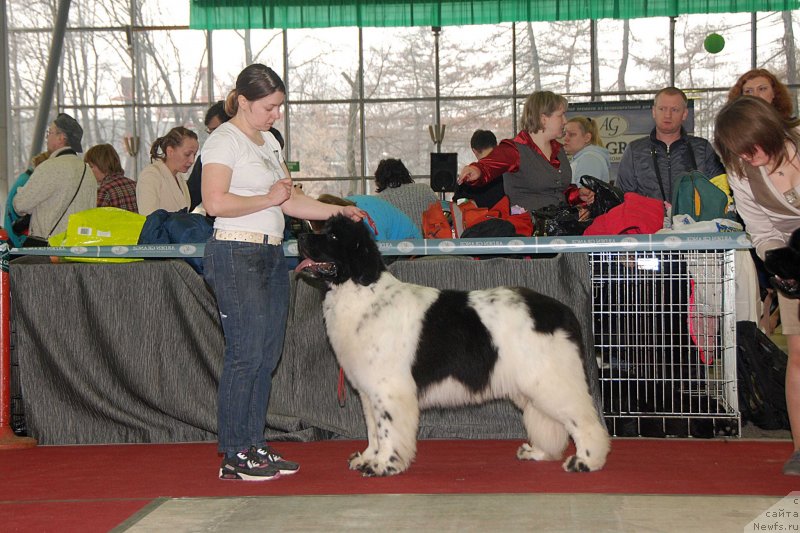 Фотография № 121397