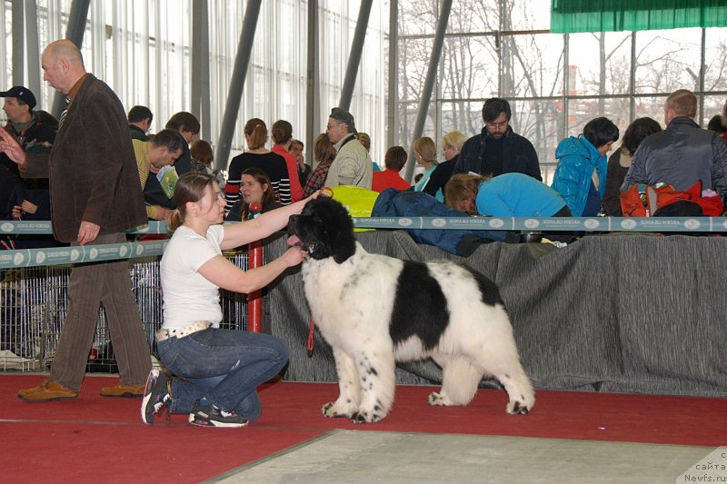 Фотография № 121399