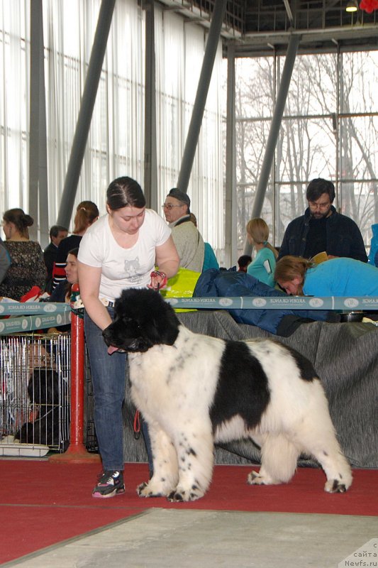 Фотография № 121401