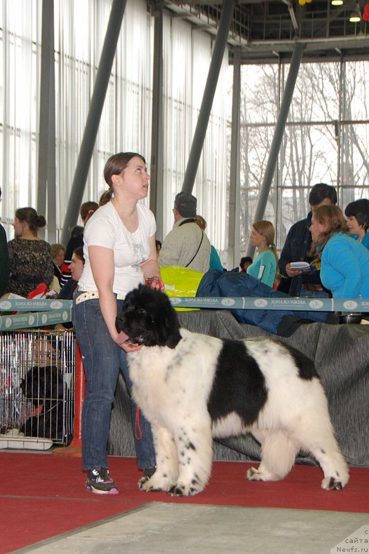 Фотография № 121402