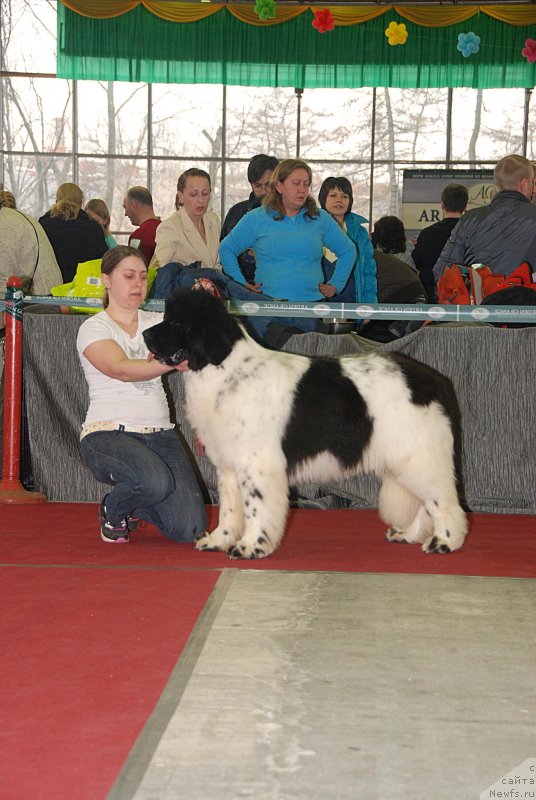 Фотография № 121403