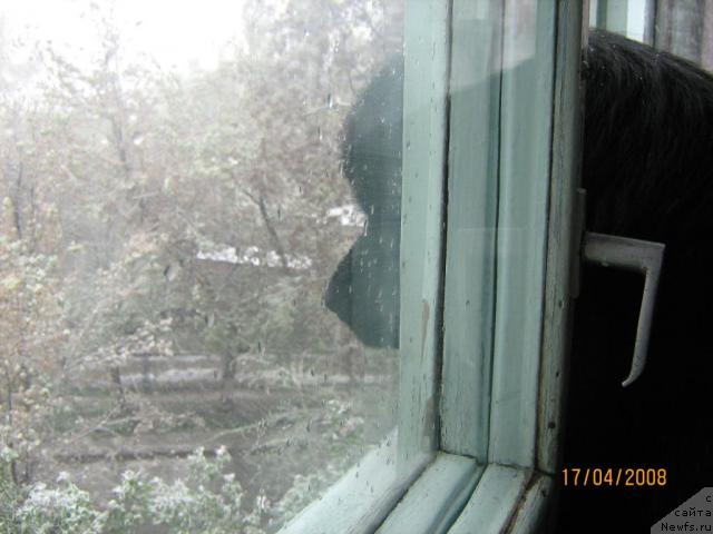 Фотография № 12141