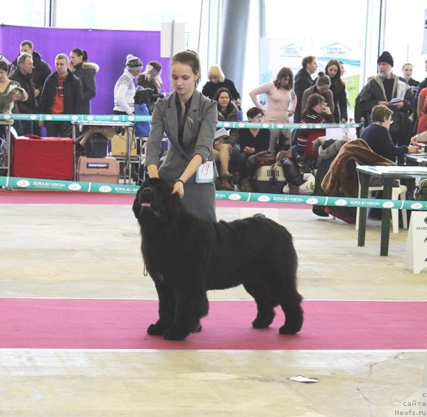 Фотография № 121419