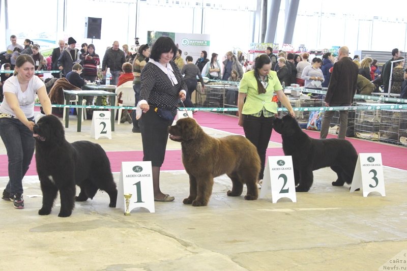 Фотография № 121420