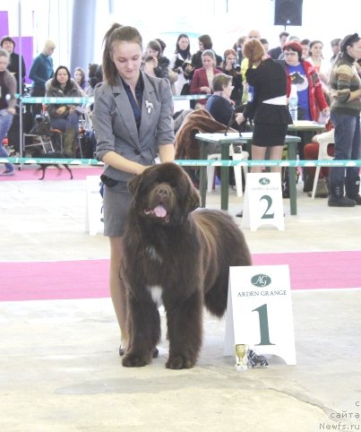 Фотография № 121423