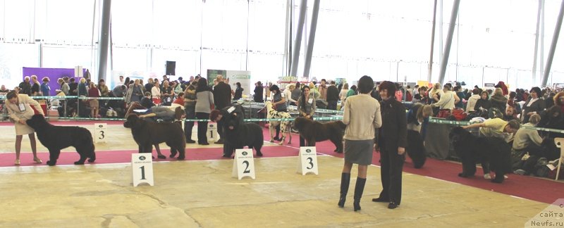 Фотография № 121425