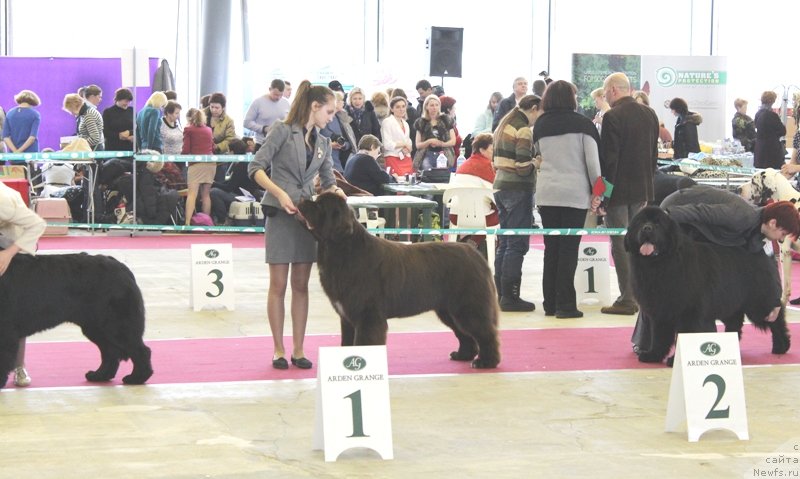 Фотография № 121426