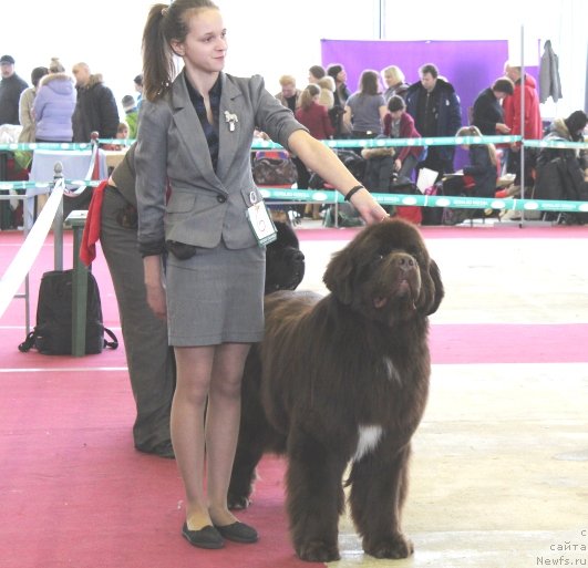 Фотография № 121427